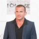 Dominic Purcell de sortie