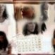 Calendar!