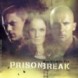 Season 4 IS BACK !!!