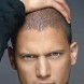 Wentworth trop gros...