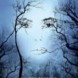 Pr�monitions